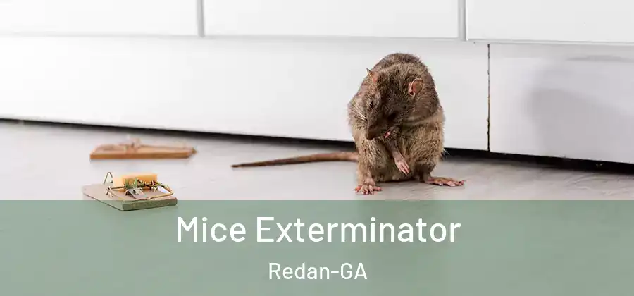  Mice Exterminator Redan-GA