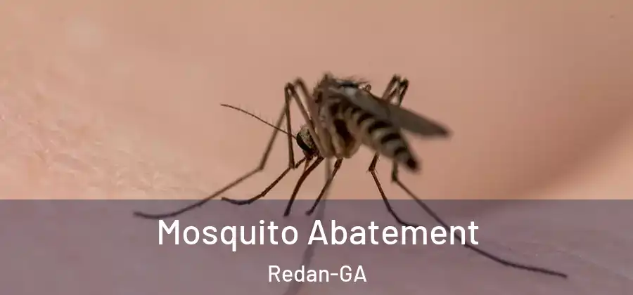 Mosquito Abatement Redan-GA