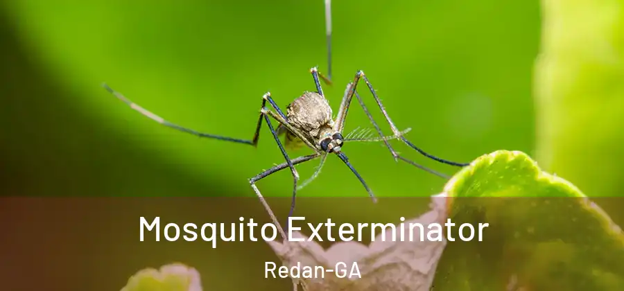  Mosquito Exterminator Redan-GA