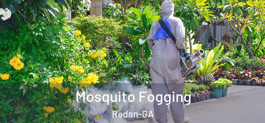  Mosquito Fogging Redan-GA