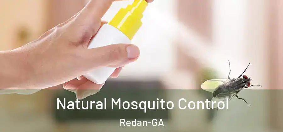 Natural Mosquito Control Redan-GA