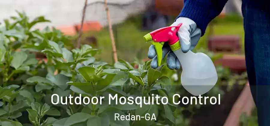 Outdoor Mosquito Control Redan-GA