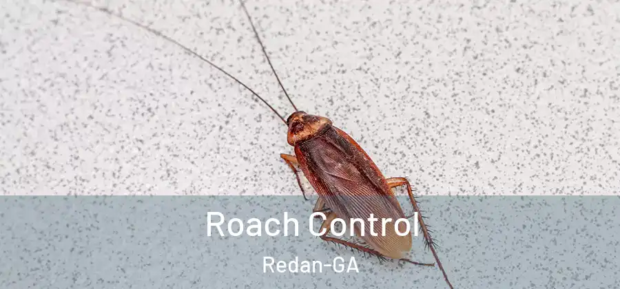  Roach Control Redan-GA