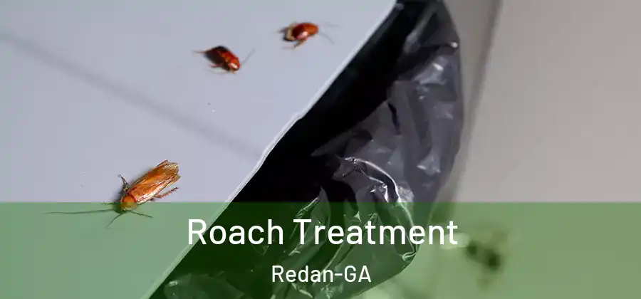 Roach Treatment Redan-GA