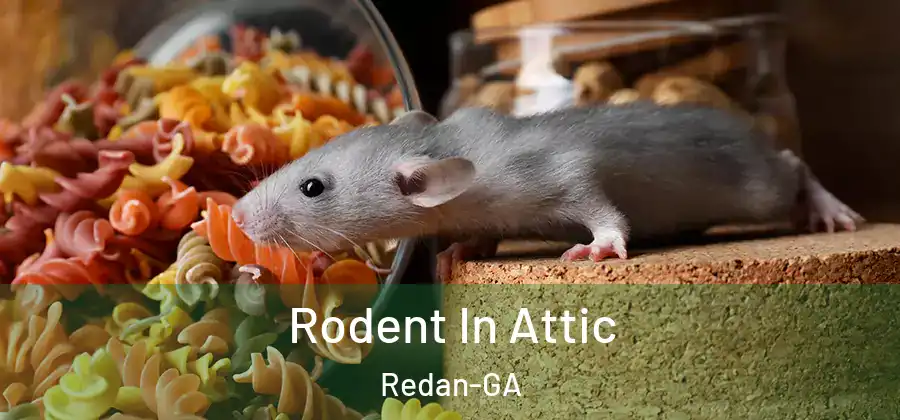  Rodent In Attic Redan-GA