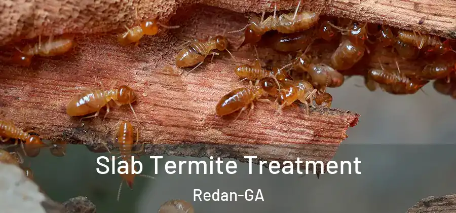 Slab Termite Treatment Redan-GA