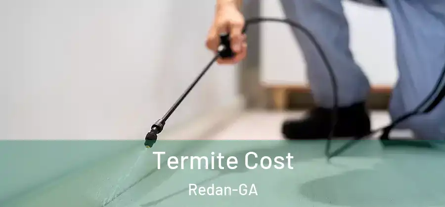  Termite Cost Redan-GA