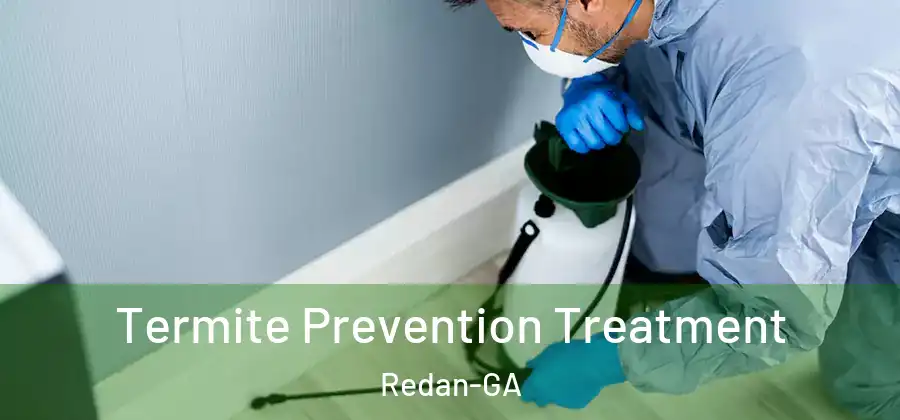 Termite Prevention Treatment Redan-GA