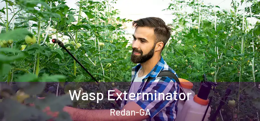  Wasp Exterminator Redan-GA