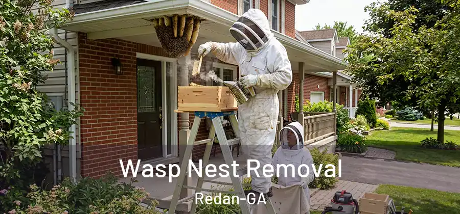 Wasp Nest Removal Redan-GA